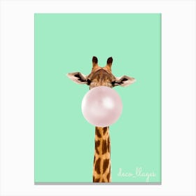 Girafe avec chewing-gum Canvas Print