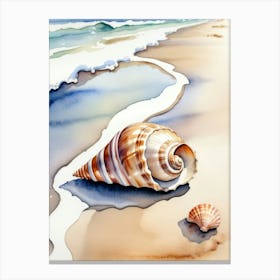 Seashell on the beach, watercolor painting 8 Canvas Print