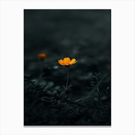 Single Flower In The Dark 42 Canvas Print