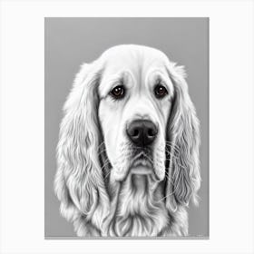 Clumber Spaniel B&W Pencil dog Canvas Print