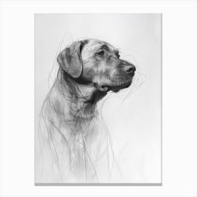 Minimalist Labrador Dog Charcoal Line 1 Canvas Print