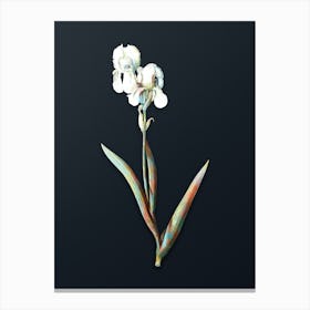 Vintage Tall Bearded Iris Botanical Watercolor Illustration on Dark Teal Blue n.0051 Canvas Print