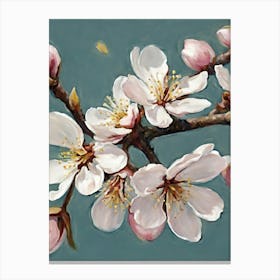 Blossoming Cherry Blossoms 1 Canvas Print