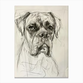 Mastiff Dog Sepia Charcoal Line Canvas Print