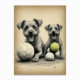 Two Dogs With Soccer Balls Canvas Print