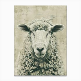 Sheep Portrait Canvas Print