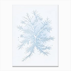 Stellar Dendrites, Snowflakes, Pencil Illustration 3 Canvas Print