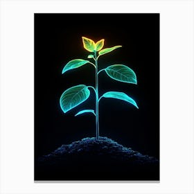 Neon Plant 15 Canvas Print