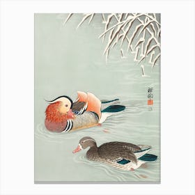 Mandarin Ducks Canvas Print