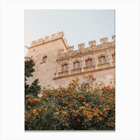 Spain Orange Tree Canvas Print