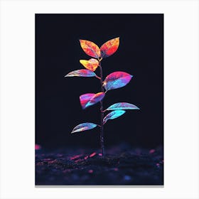 Plant In The Dark 13 Canvas Print