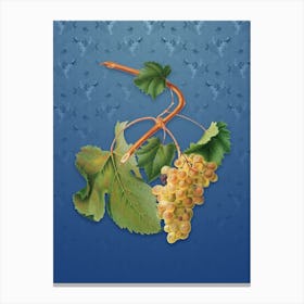 Vintage Vermentino Grapes Botanical on Bahama Blue Pattern n.0252 Canvas Print