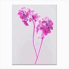 Hot Pink Lilac 3 Canvas Print