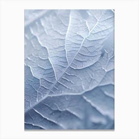Frosty Leaf 2 Canvas Print