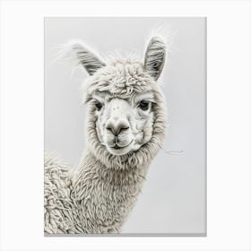 Llama 2 Canvas Print