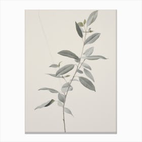 Green Leaf Vintage Canvas Print