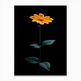 Single Yellow Flower 7 Canvas Print