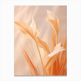 Boho Dried Flowers Heliconia 4 Canvas Print