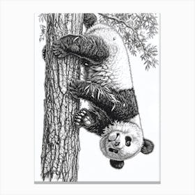 Giant Panda Cub Hanging Upside Down From A Tree Ink Illustration 3 Canvas Print