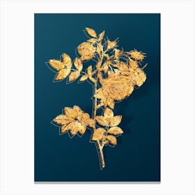 Vintage Turnip Roses Botanical in Gold on Teal Blue Canvas Print