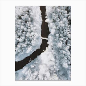 Snowy River Canvas Print