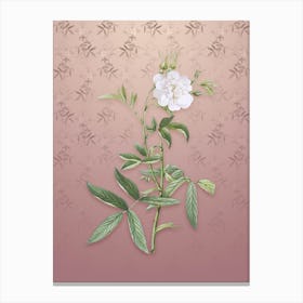 Vintage White Rose of York Botanical on Dusty Pink Pattern n.2518 Canvas Print