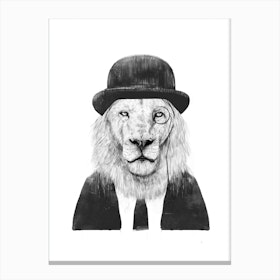 Sir Lion Canvas Print