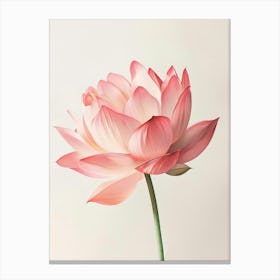 Poster Pink Beauty 1 Canvas Print