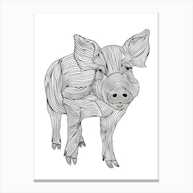 Pig Vector Illustration animal lines art Canvas Print