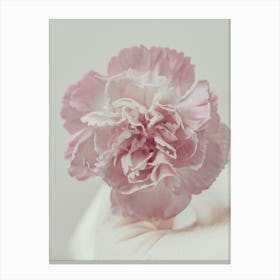 Pink Carnation Flower Canvas Print