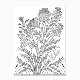 Valerian Herb William Morris Inspired Line Drawing 2 Canvas Print