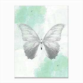 Butterfly Canvas Print Canvas Print