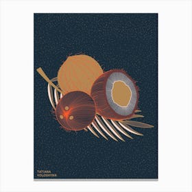 Coconuts And Coconut Tree Branch Canvas Print