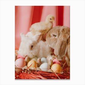 Easter Bunny And Chick Canvas Print