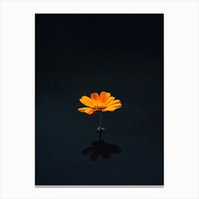 Orange Flower 15 Canvas Print