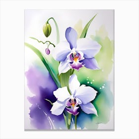 Orchids 6 Canvas Print