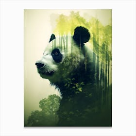 Panda Bear In The Forest 1 Canvas Print