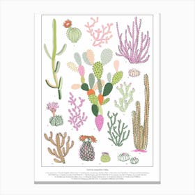 Cacti Botanical Canvas Print