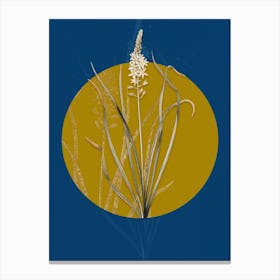 Vintage Botanical Wild Asparagus on Circle Yellow on Blue Canvas Print