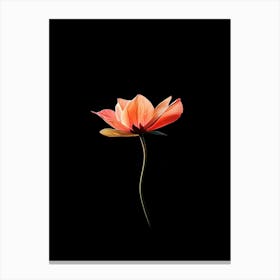 Lotus Flower On Black Background Canvas Print