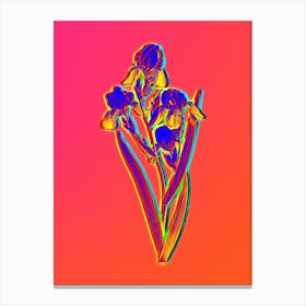 Neon Elder Scented Iris Botanical in Hot Pink and Electric Blue n.0176 Canvas Print