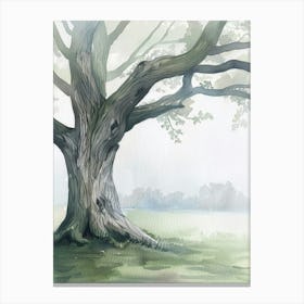 Yew Tree Atmospheric Watercolour Painting 2 Canvas Print