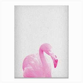 Froilein Flamingo III Canvas Print