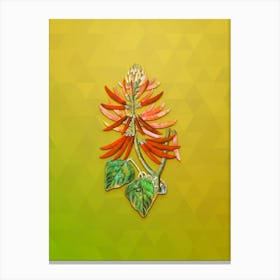Vintage Naked Flowering Erythrina Botanical Art on Empire Yellow n.0496 Canvas Print