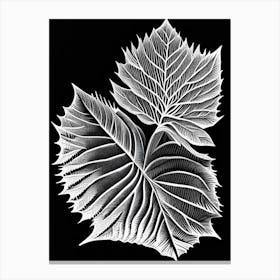 Beech Leaf Linocut Canvas Print