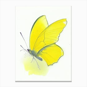Clouded Yellow Butterfly Graffiti Illustration 1 Canvas Print