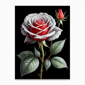 Red Rose On Black Background 4 Canvas Print