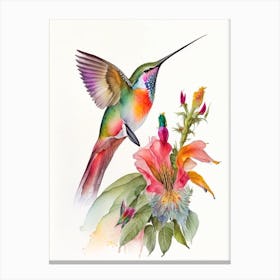 Allen S Hummingbird Cute Neon 2 Canvas Print