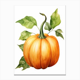 Long Island Cheese Pumpkin Watercolour Illustration 2 Canvas Print