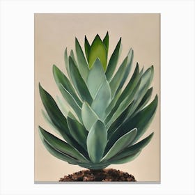 Aloe Plant Canvas Print